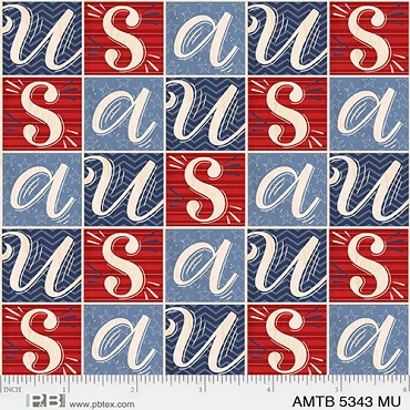 America the Beautiful - P & B Textiles - USA Block - 5343 - Multi