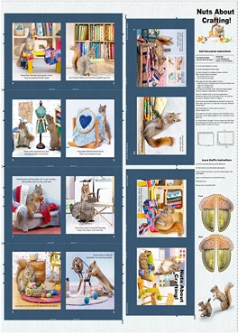 The Secret Life of Squirrels  IV - Clothworks - Digital Storybook Panel - Y4896 - 89 - Multi