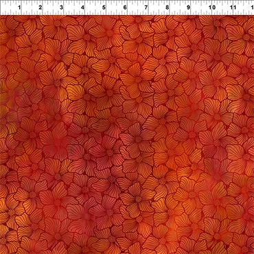 Dear Clara - In The Beginning - 10DCL - 1 - Bloom Orange