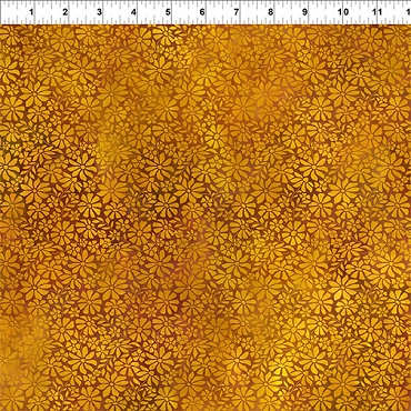 Dear Clara - In The Beginning - 11DCL - 1 - Field Gold