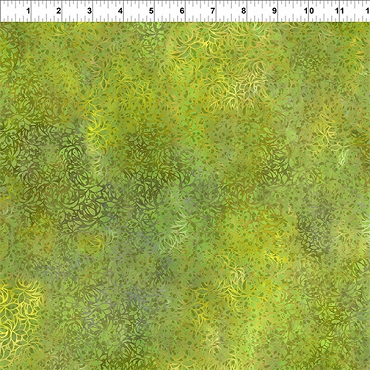Dear Clara - In The Beginning - 12DCL - 1 - Enchant Lime