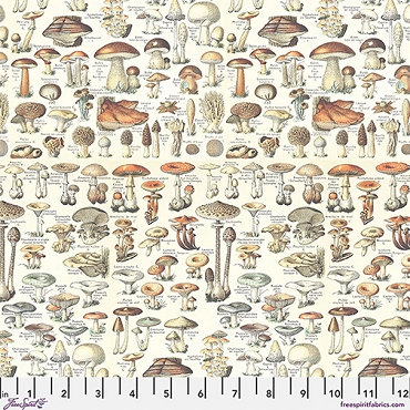 Palette Curated - Tim Holtz - Free Spirit -  PWTH236 - Orange Toadstools