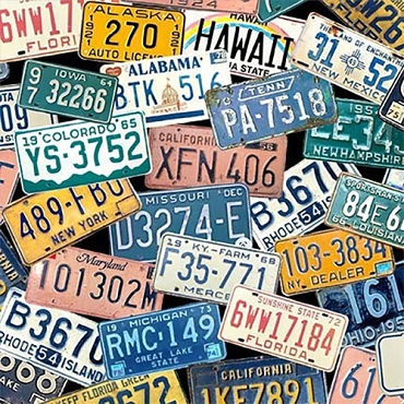 Retro Road Trip - Michael Miller - License Plates - 12087 - Multi