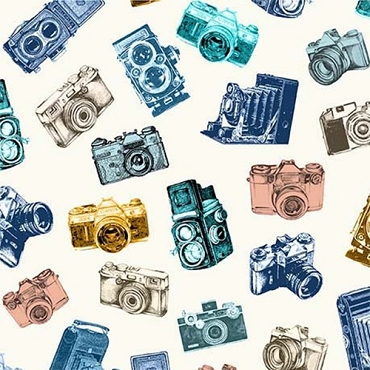 Retro Road Trip - Michael Miller - Capture the Moment - 12088 - Blue