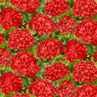Timeless Treasures - SCARLET BEAUTY - PACKED GERANIUM WITH LEAVES - CD3183 - RED