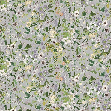Bloomfield - Windham - Perennials - 54875D - 11 - Dew