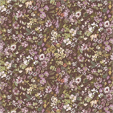 Bloomfield - Windham - Perennials - 54875D - 9 - Plum