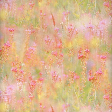 Mariposa Masterpiece - Hoffman - W5471 - 562 - Blooms