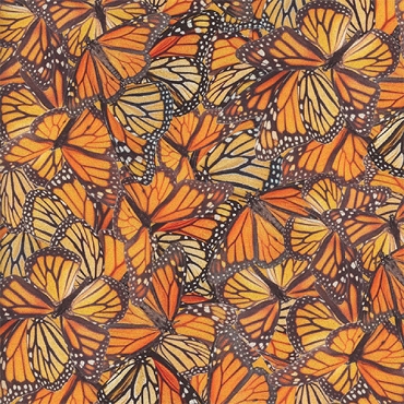 Mariposa Masterpiece - Hoffman - W5462 - 278 - Monarch