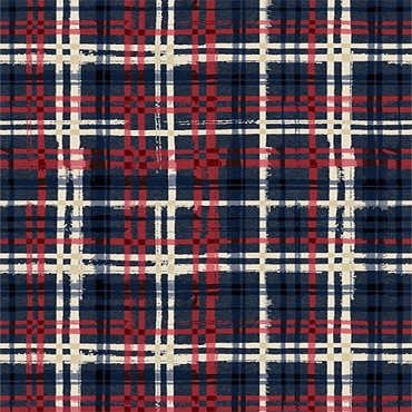 Stars of Valor - Wilmington - 30088 - 424 - Plaid All Over - Navy