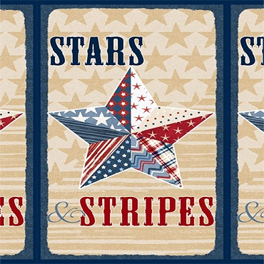 Stars of Valor - Wilmington - 30081 - 234 - Panel