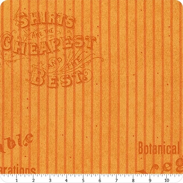  Pumpkin Patch - J Wecker Fresch  - Riley Blake - Silver Lining - 14581 - Orange
