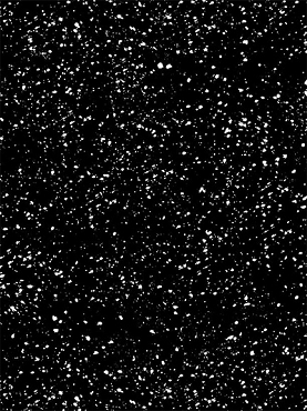Cardinal Cozy - Wilmington - 33897 - 991 - Snow - Black