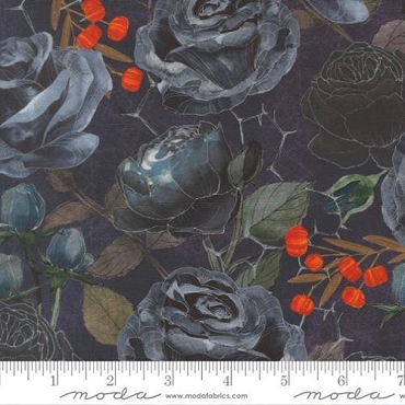 Coven - Moda - 48800 - 15 - Midnight