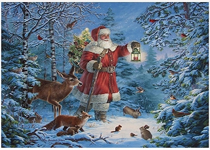 Picture a Christmas - Riley Blake - 17984 - Santa and His Friends
