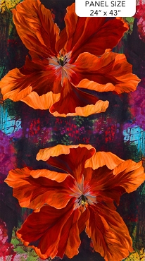Tulip Festival - Northcott - 40207 - 59 - Tulip Drama