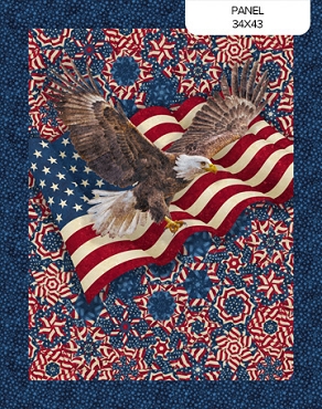 Stars and Stripes 14 - Northcott - DP29040 - 49 - Panel