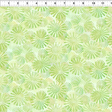 Felicity - In The Beginning - Rays - Green - 5FEL - 2
