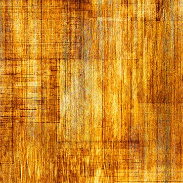 Into the Woods - QT Fabrics - 30840 - Amber - SA