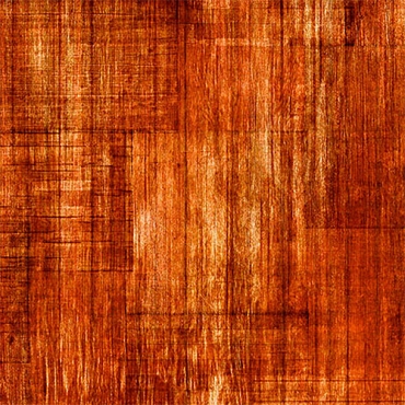 Into the Woods - QT Fabrics - 30840TA - Paprika
