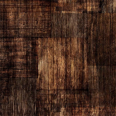 Into the Woods - QT Fabrics - 30840AJ - Espresso
