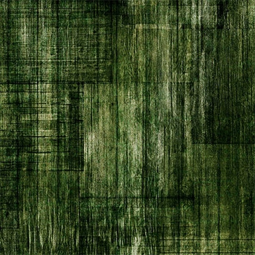 Into the Woods - QT Fabrics - 30840F - Forest