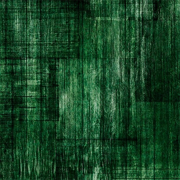 Into the Woods - QT Fabrics - 30840FA -Evergreen