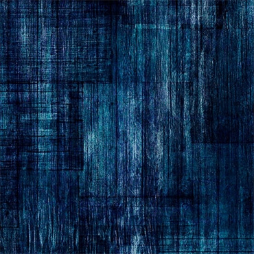 Into the Woods - QT Fabrics - 30840N - Navy