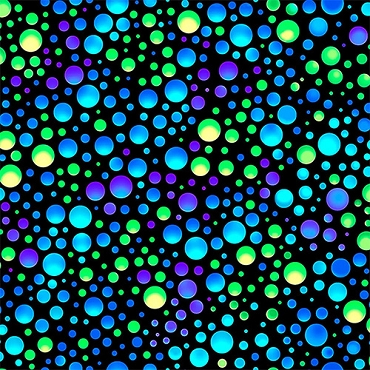 Carnival - QT Fabrics - 26374 - Black Lime