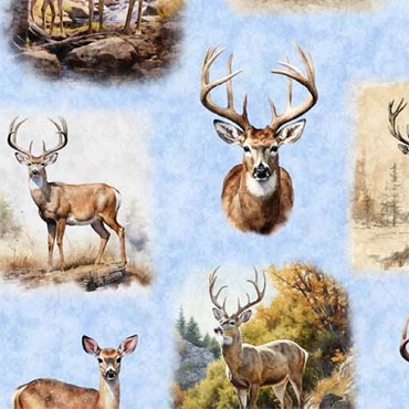 BUCK WILD - QT Fabrics - Deer Vignettes - 30804 - B - Lt Blue