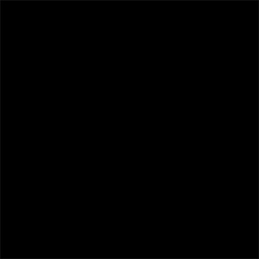 Flock Together - In The Beginning - Black Solid - 1BLK1