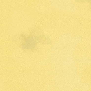 Color Stock by Quiltworx - Brush Stroke - 2970 - Butter
