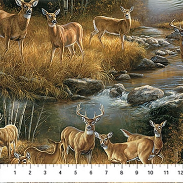 Naturescapes Birchwood - Northcott - 29107 - 14 - Scenic - Tan Multi