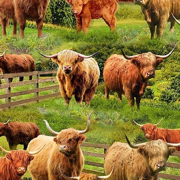 Highland Cows - Timeless Treasures - 3076 - Multi