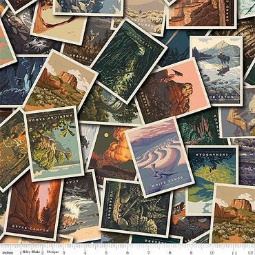 National Parks Postcards Toss  -  Riley Blake - CD - 13290 - Multi